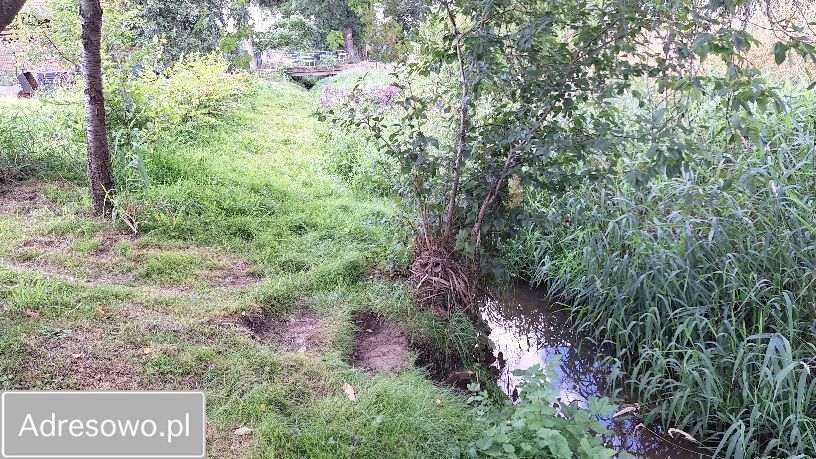 Działka budowlana Sieniawa Żarska. Zdjęcie 4