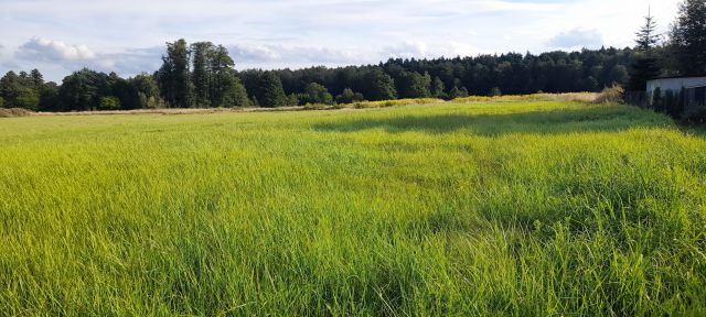 Działka budowlana Gostyń, ul. Rybnicka. Zdjęcie 1