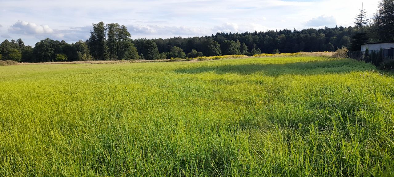 Działka budowlana Gostyń, ul. Rybnicka