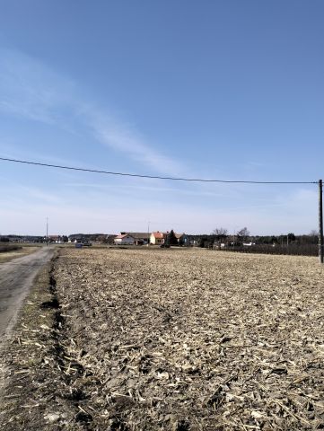 Działka rolno-budowlana Bogucin Stary Bogucin. Zdjęcie 1