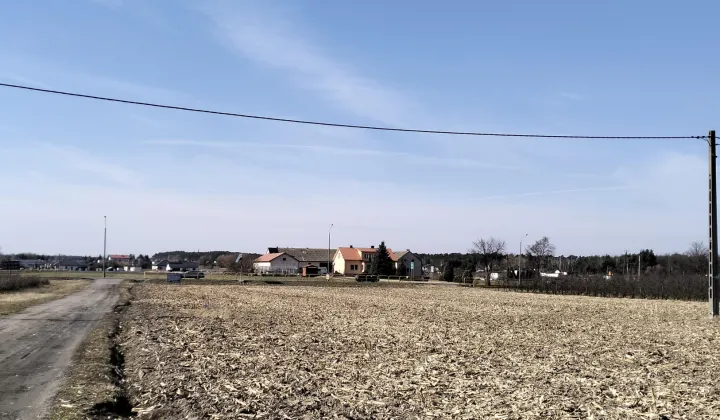 Działka rolno-budowlana Bogucin Stary Bogucin