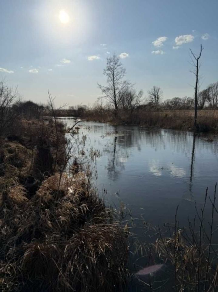 Działka rolna Brzuza. Zdjęcie 4