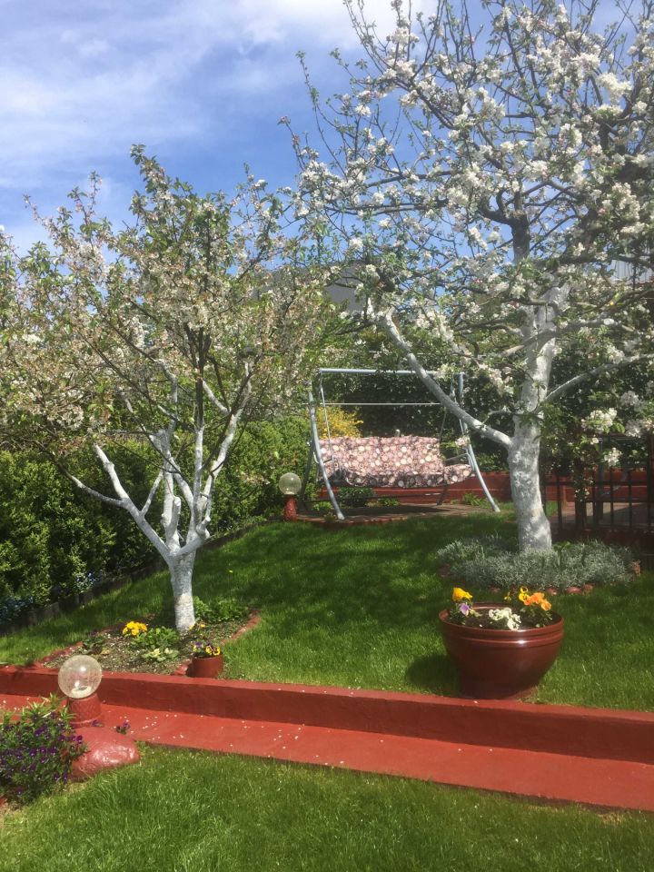 Działka rod Iława. Zdjęcie 6