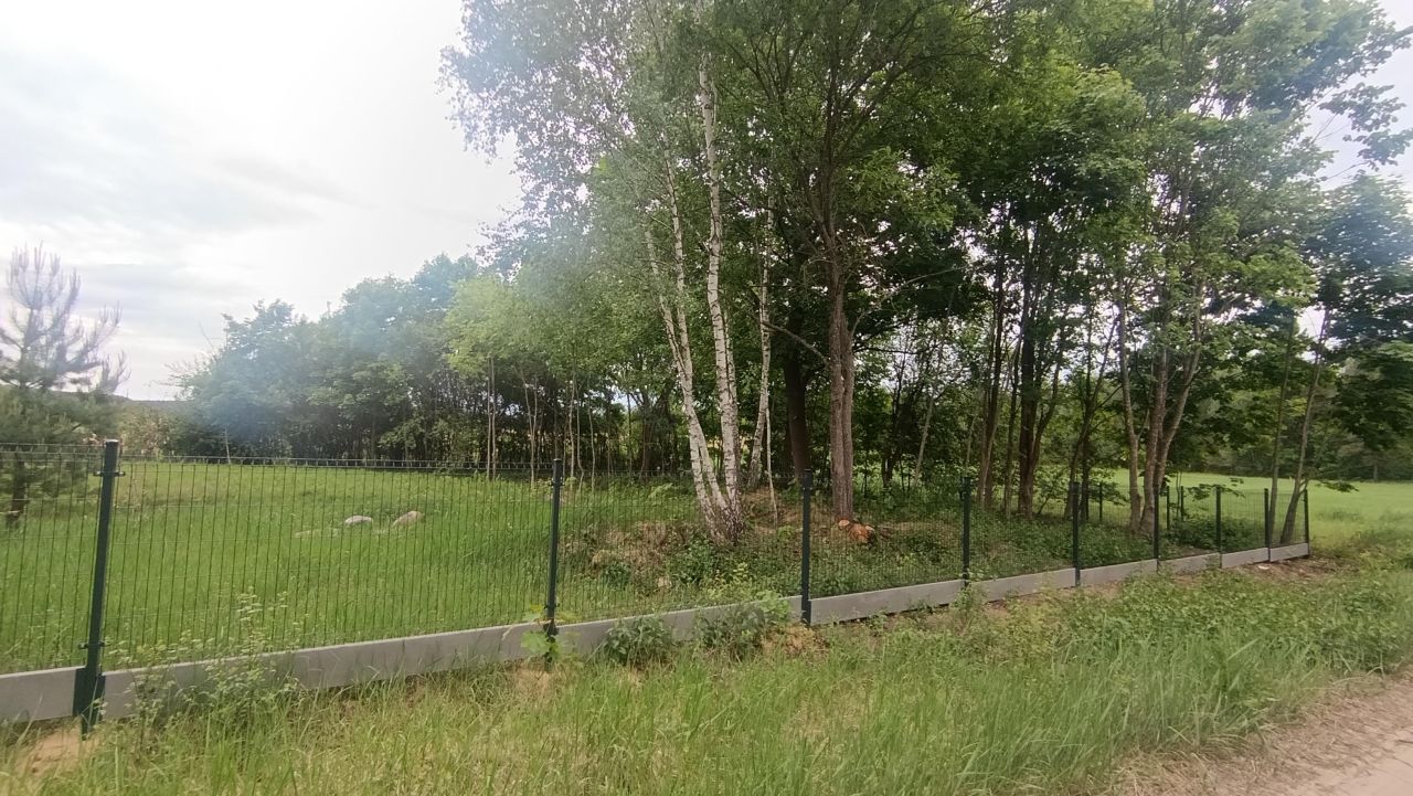 Działka siedliskowa Krynickie. Zdjęcie 5