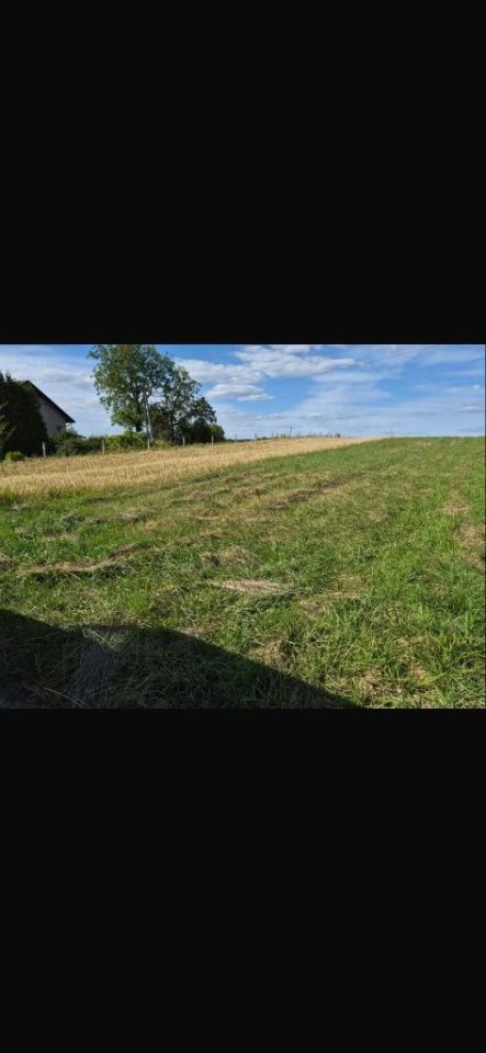 Działka rolna Hyżne. Zdjęcie 4