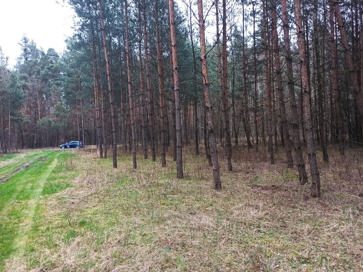 Działka rekreacyjna Kamieńszczyzna, ul. Leśna