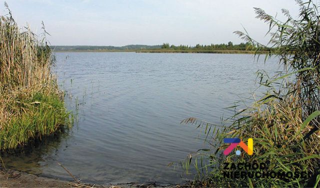 Działka budowlana Dąbrowa. Zdjęcie 2