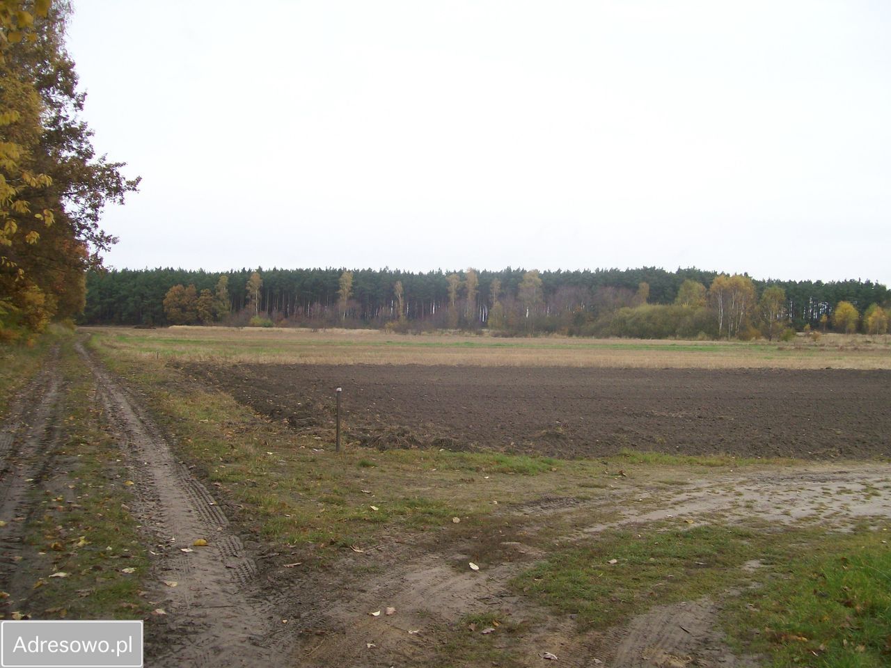 Działka budowlana Granowiec, ul. Piaskowa. Zdjęcie 4