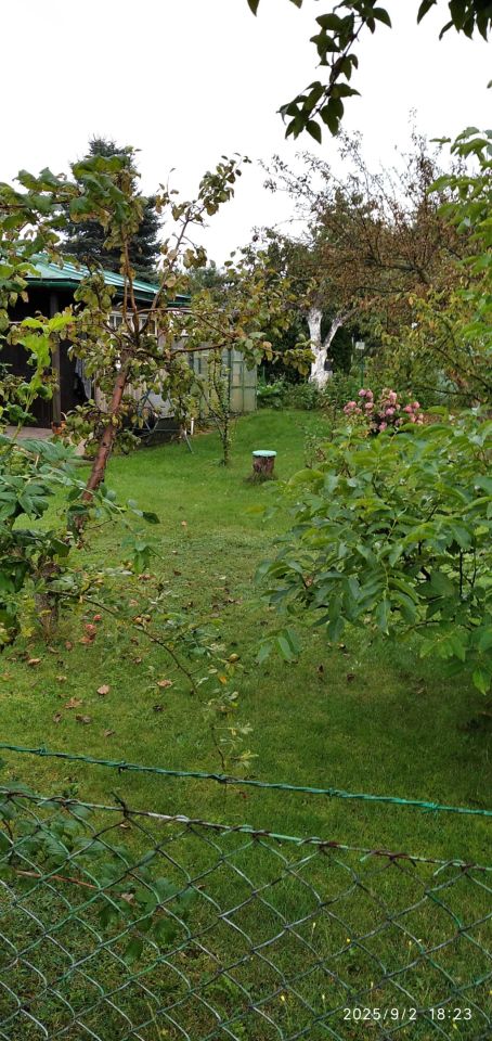 Działka rod Gdynia Obłuże, ul. płk. Stanisława Dąbka. Zdjęcie 2