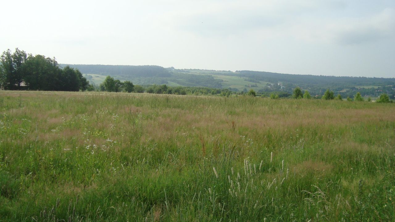 Działka rolna Kramarzówka. Zdjęcie 3