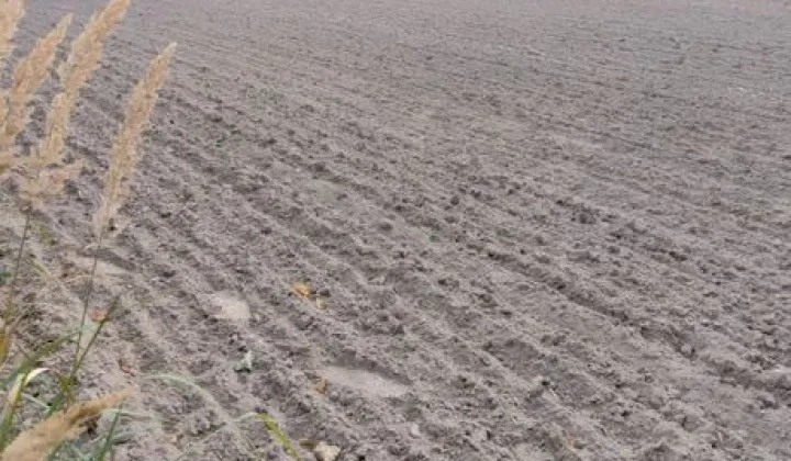 Działka budowlana Lipsko-Polesie