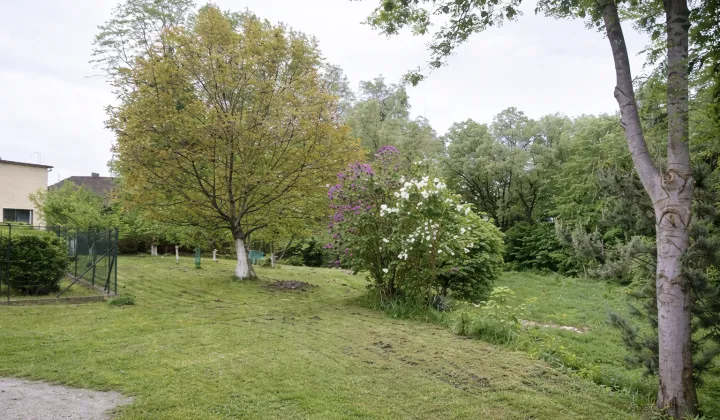 Działka budowlana Wodzisław Śląski Stary Wodzisław, ul. Stroma