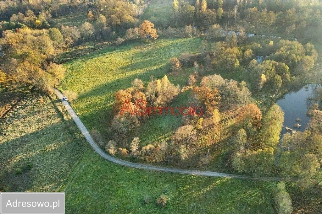 Działka inwestycyjna Arciechów, ul. Dąbrowiecka. Zdjęcie 5