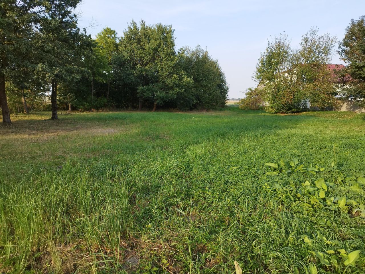 Działka budowlana Konstantynów. Zdjęcie 6