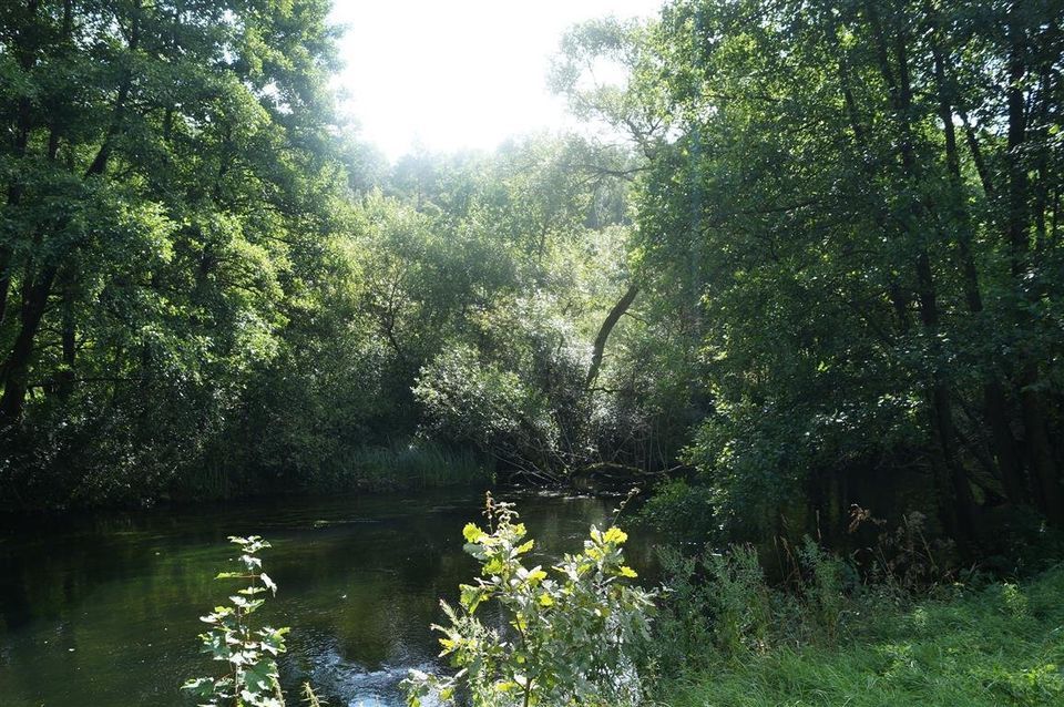 Biuro Niedalino. Zdjęcie 5