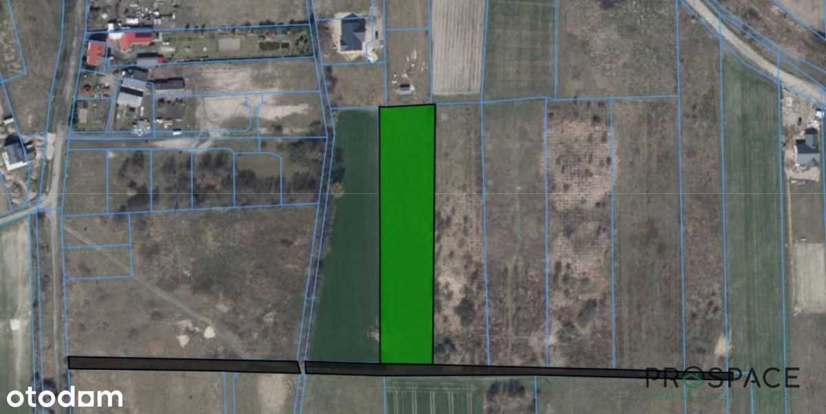 Działka rolna Mozów. Zdjęcie 3