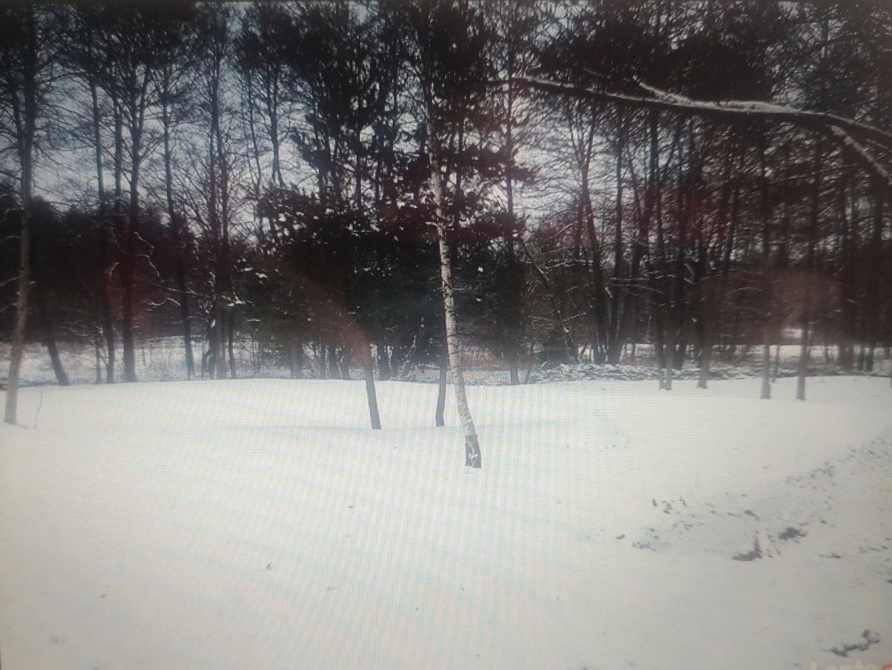 Działka rolno-budowlana Zawiercie Borowe Pole, ul. Oświatowa. Zdjęcie 3