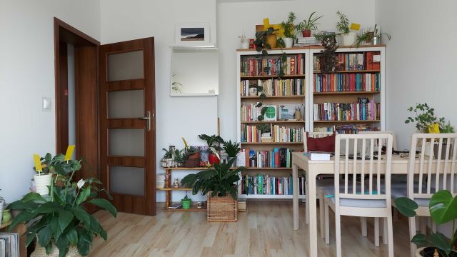 Mieszkanie 2-pokojowe Poznań Wilda, ul. Saperska. Zdjęcie 1