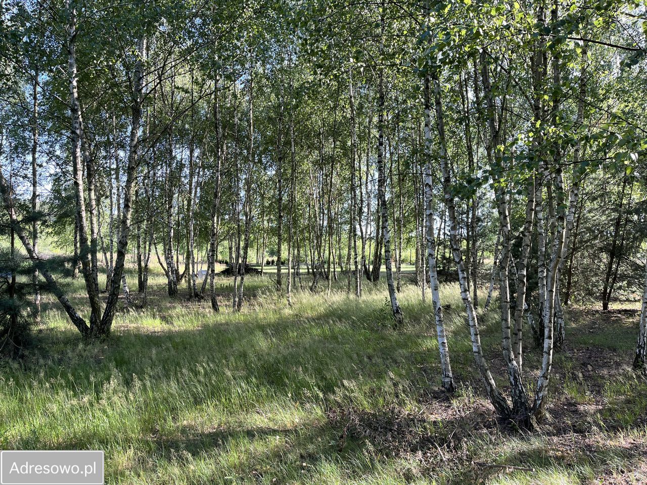 Działka budowlana Kalonka. Zdjęcie 9