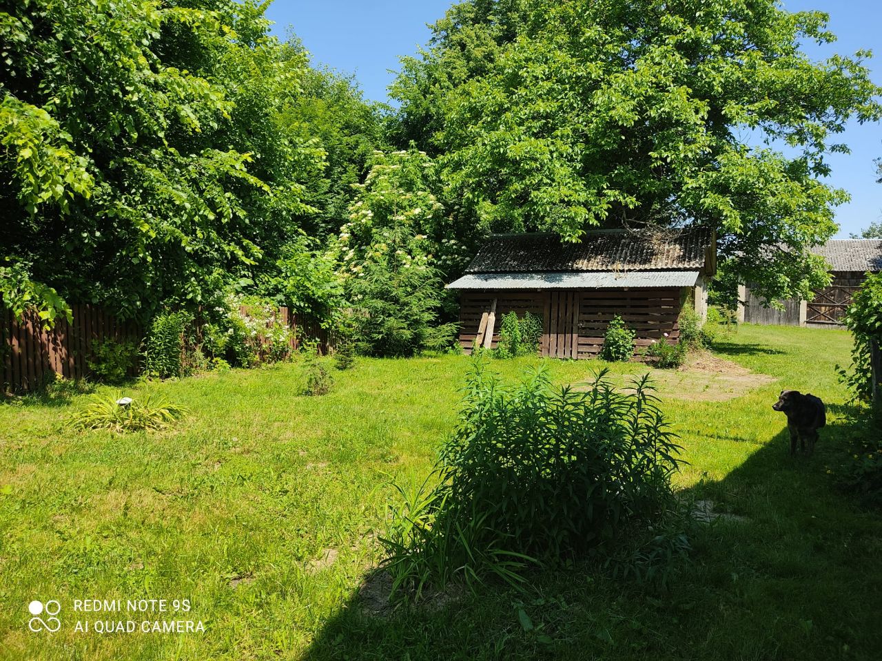 siedlisko, 5 pokoi Libiszów. Zdjęcie 5