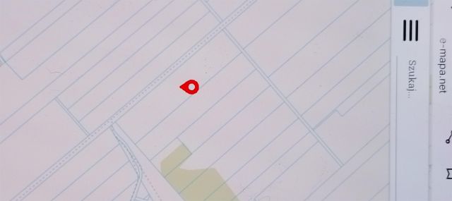 Działka rolna Rogowo-Majątek. Zdjęcie 1
