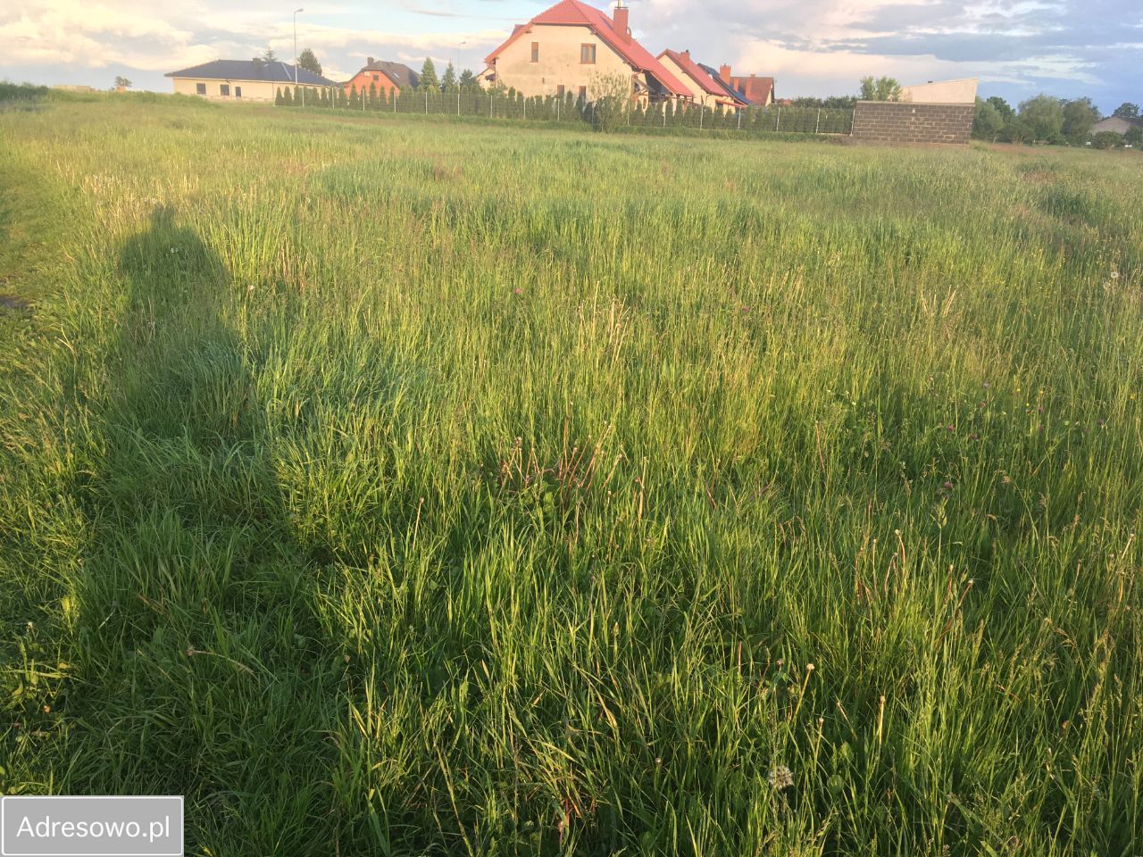 Działka budowlana Zielona Wieś. Zdjęcie 3