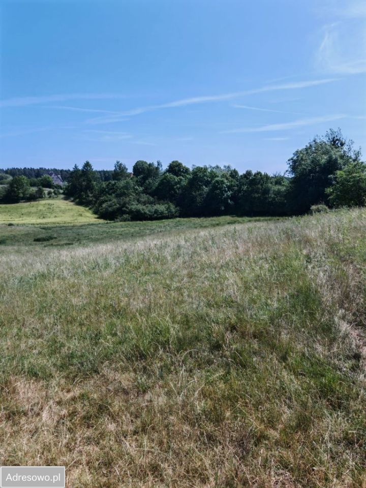 Działka rolna Dąbrówka. Zdjęcie 13
