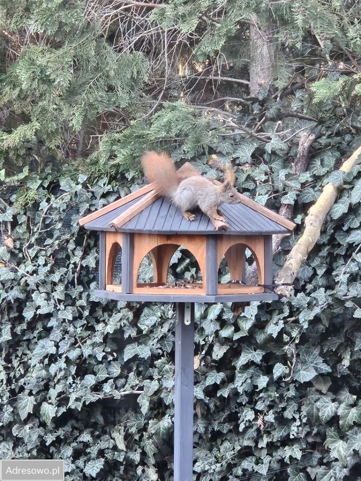 dom szeregowy, 4 pokoje Warszawa Wawer, ul. Przylaszczkowa. Zdjęcie 6