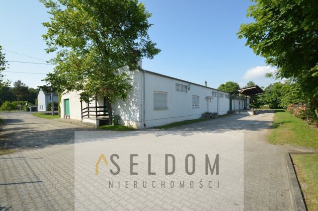 Lokal Prószków. Zdjęcie 18