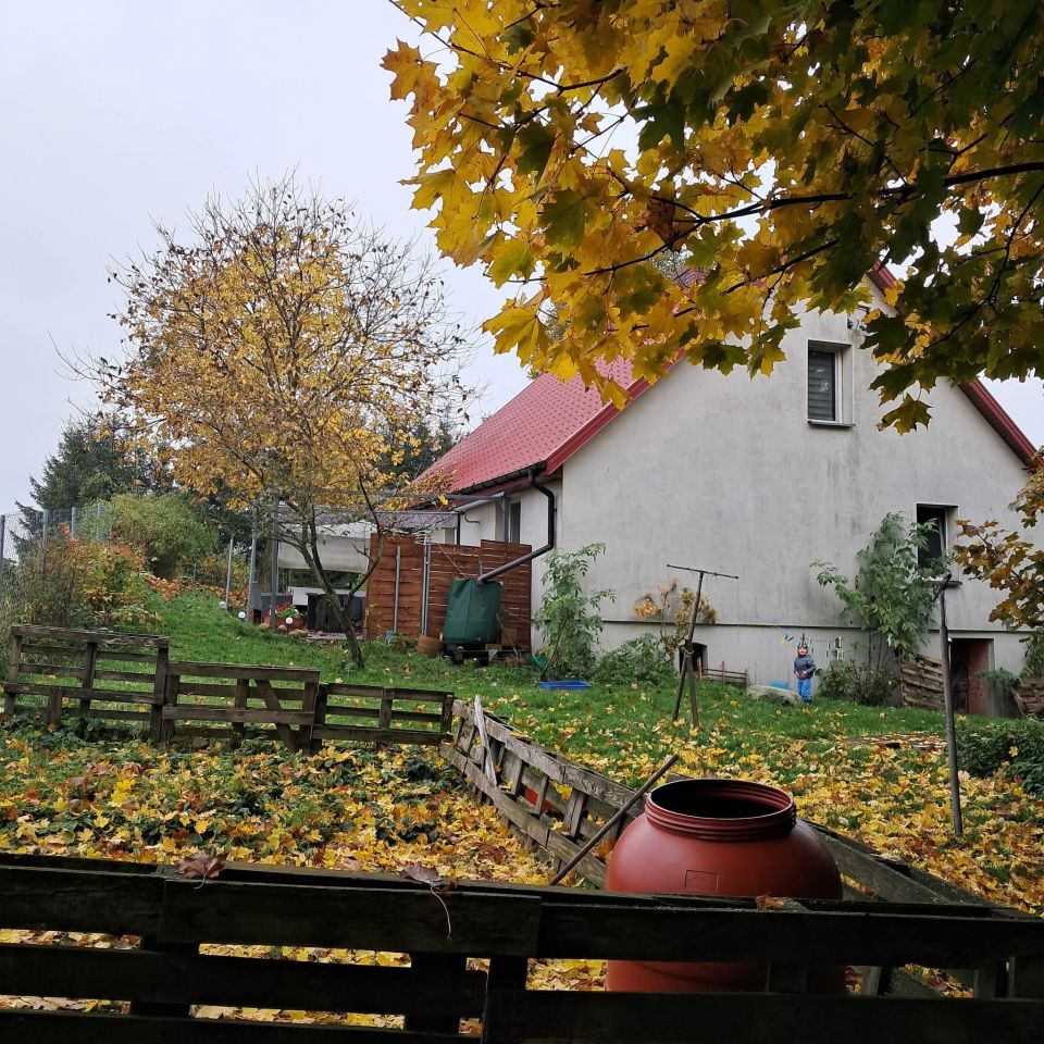 dom wolnostojący, 6 pokoi Gutowo. Zdjęcie 15