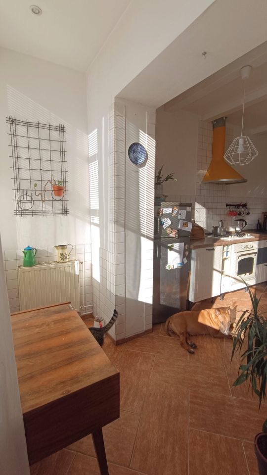 Mieszkanie 2-pokojowe Wrocław Tarnogaj, ul. Tarnogajska. Zdjęcie 4