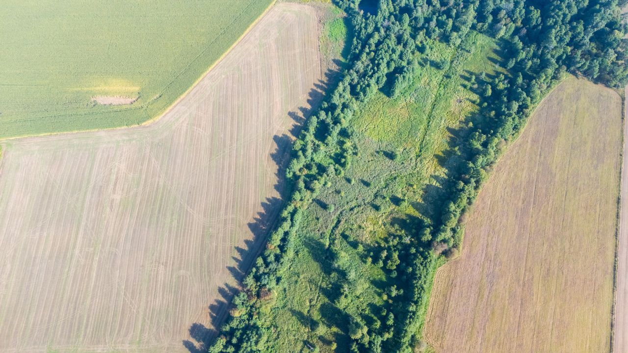 Działka budowlana Wierzbowo. Zdjęcie 13