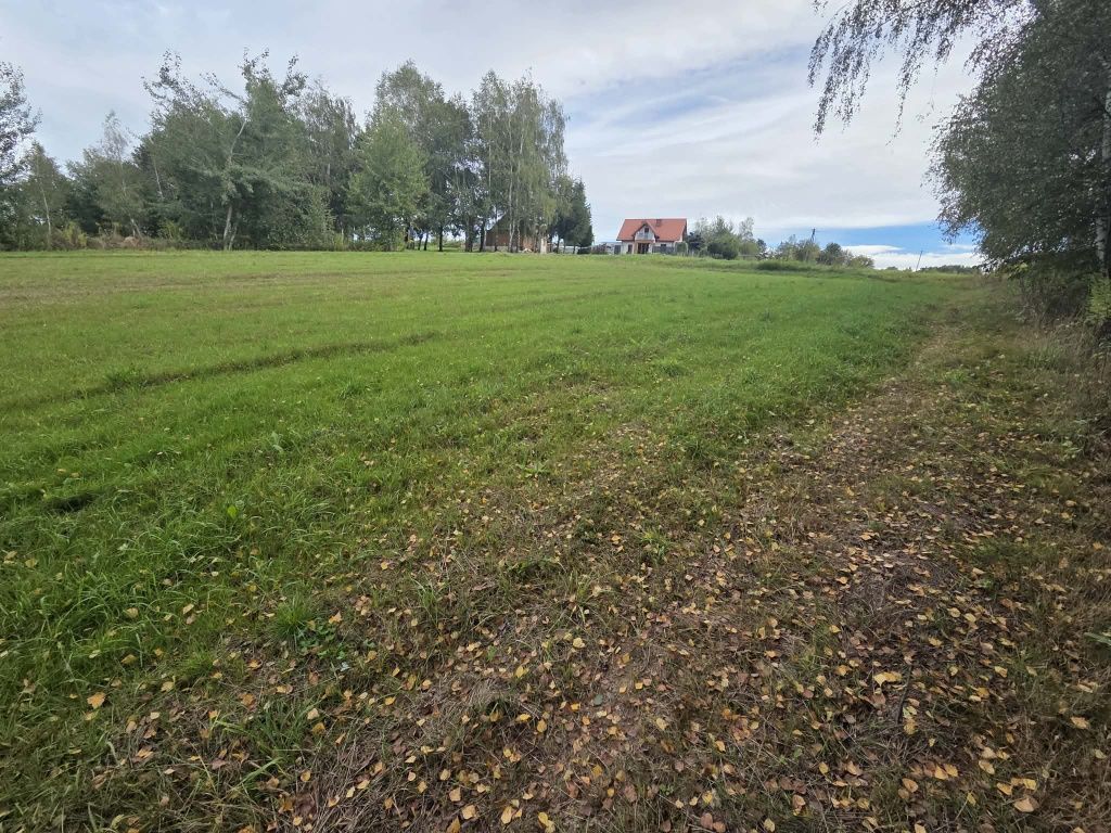 Zdjęcie 6