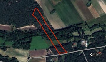 Działka leśna Kolno