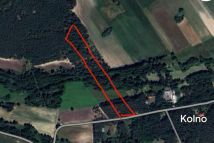 Działka leśna Kolno