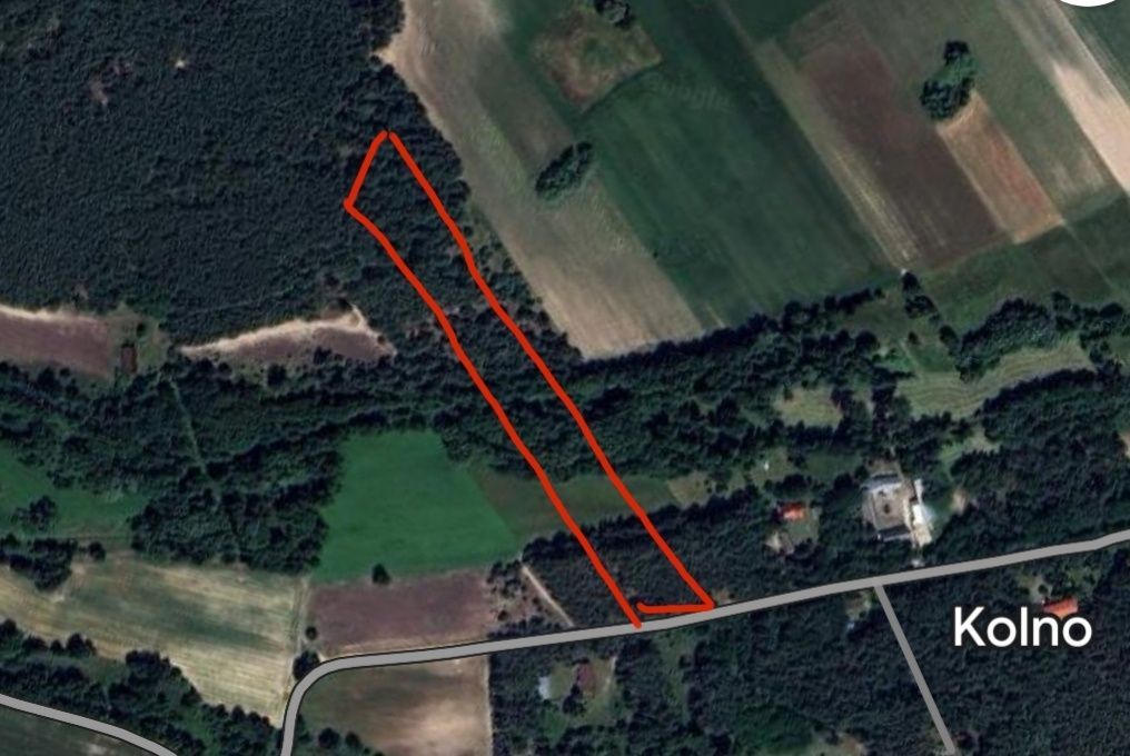 Działka leśna Kolno