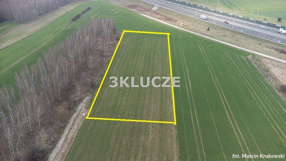 Działka rolna Dąbrowica. Zdjęcie 1