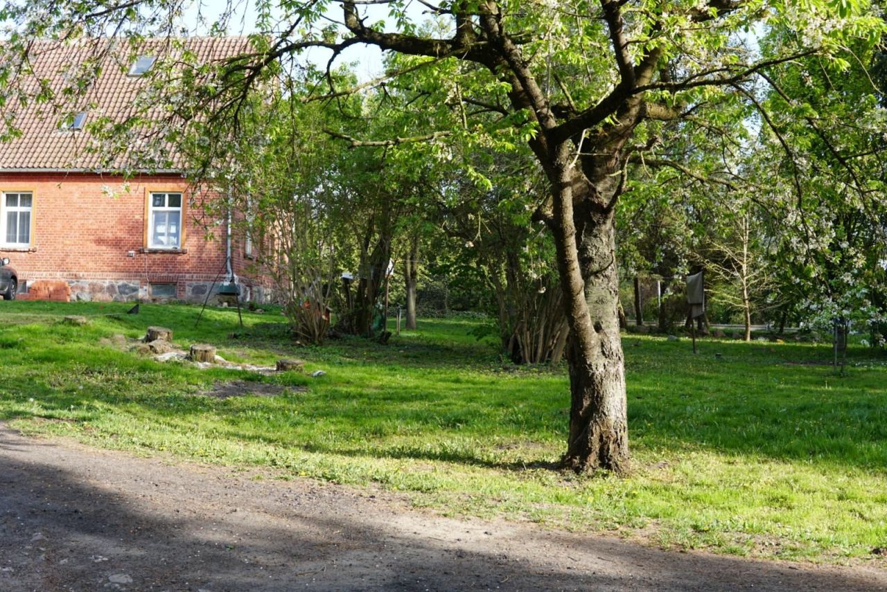 gospodarstwo Jezioro. Zdjęcie 6