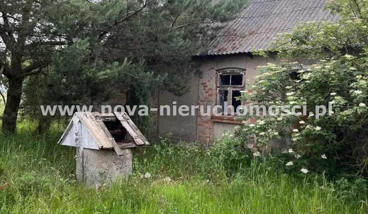 Działka rolna Malanowo Stare