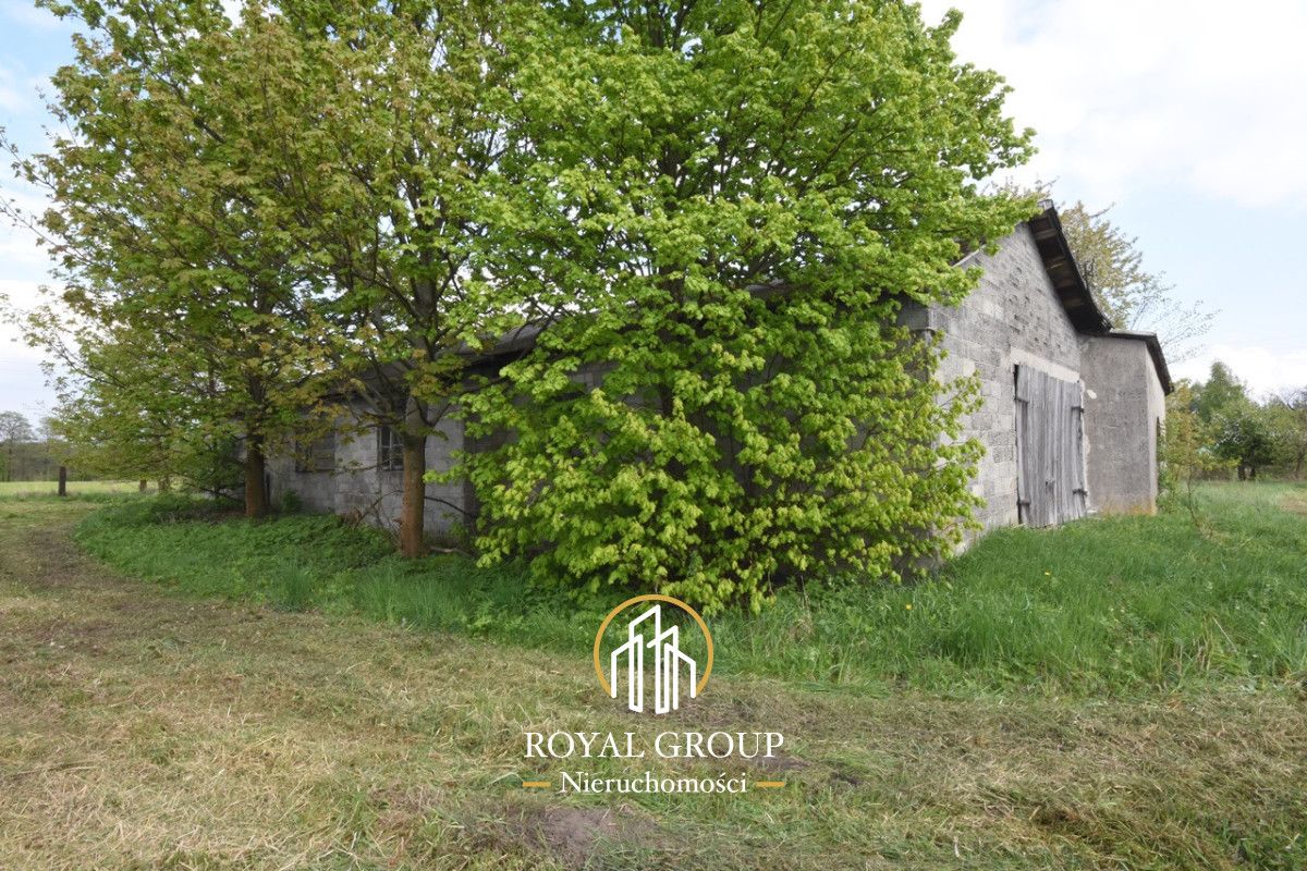 Działka inwestycyjna Łucka-Kolonia. Zdjęcie 6