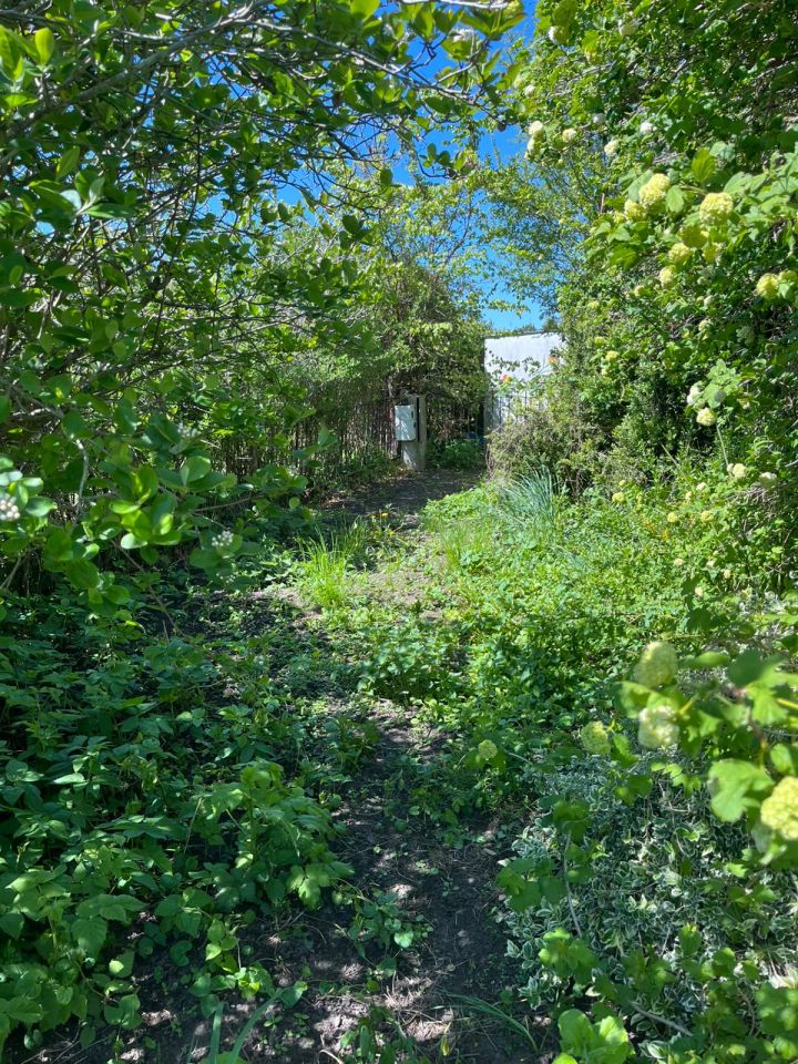 Działka rod Kołobrzeg, ul. 6 Dywizji Piechoty. Zdjęcie 4