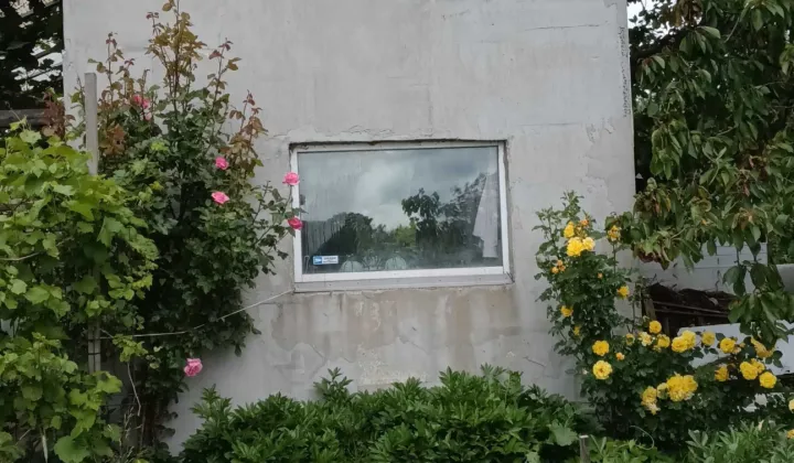 Działka rod Koszalin, ul. Holenderska