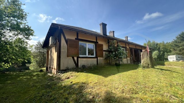 Działka rekreacyjna Osieczna. Zdjęcie 10