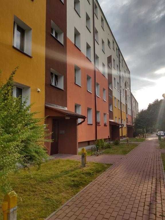 Mieszkanie 1-pokojowe Sanok, ul. Armii Krajowej. Zdjęcie 1