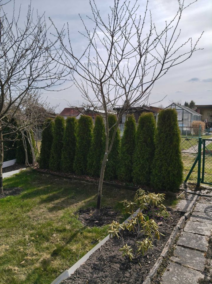 Działka rod Niekłonice. Zdjęcie 4