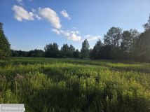 Działka inwestycyjna Wola Karczewska. Zdjęcie 4