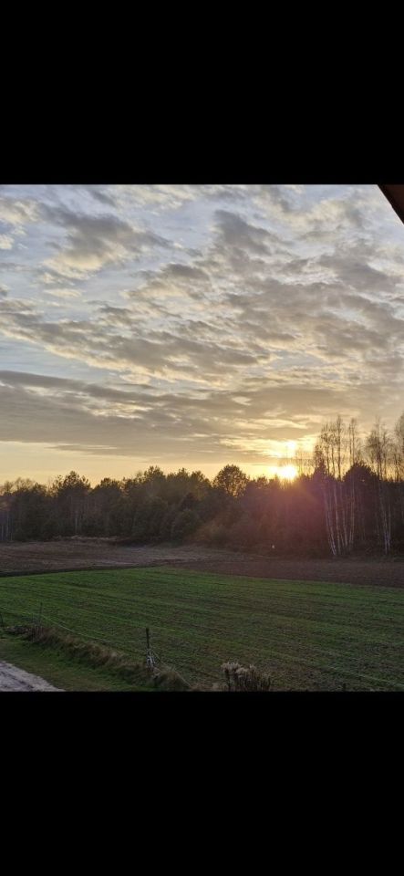 Działka rekreacyjna Sieraków. Zdjęcie 1