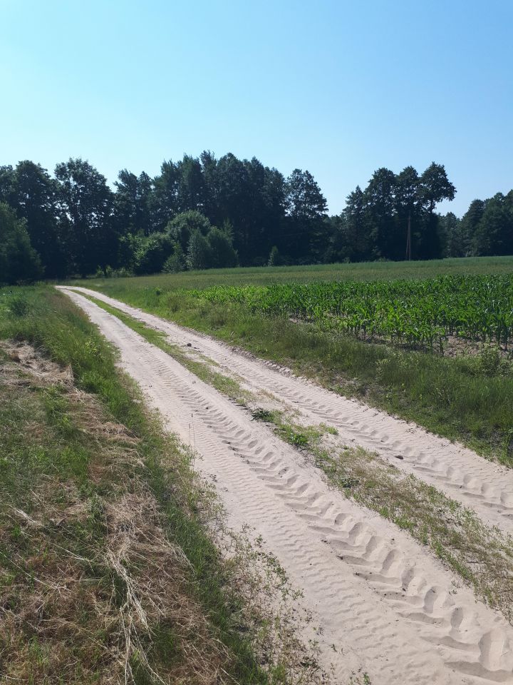 Działka budowlana Tryczówka. Zdjęcie 4