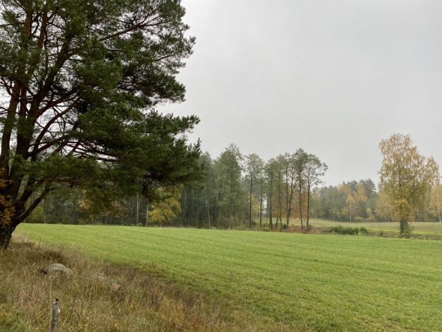 Działka inwestycyjna Dobra Wola. Zdjęcie 1