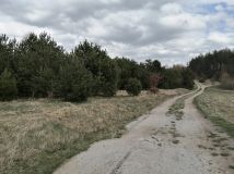 Działka rolno-budowlana Rokity. Zdjęcie 2